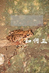 如何正确处理网贷逾期问题 如何正确处理网贷逾期问题