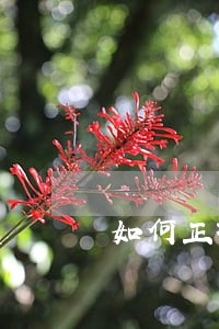 如何正确还逾期信用卡