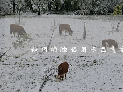 如何消除信用卡无意逾期 如何消除信用卡无意逾期