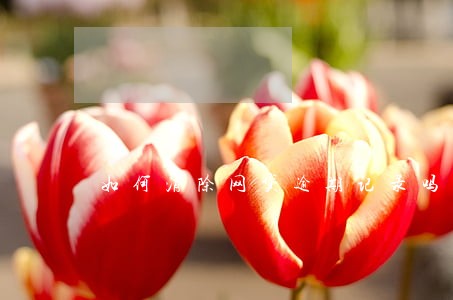 如何消除网贷逾期记录吗 如何消除网贷逾期记录吗