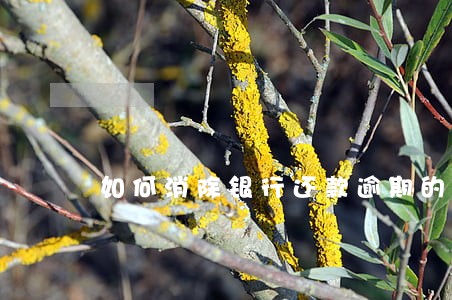 如何消除银行还款逾期的征信记录