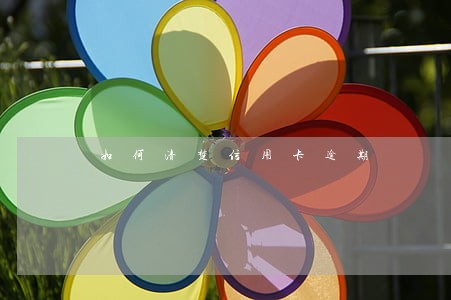 如何清楚信用卡逾期 如何清楚信用卡逾期