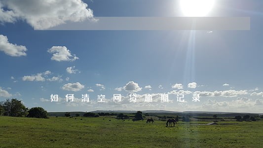 如何清空网贷逾期记录 如何清空网贷逾期记录
