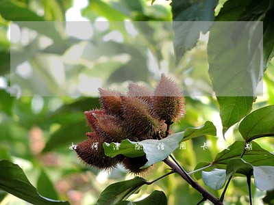 如何清除信用卡逾期 如何清除信用卡逾期