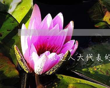 如何激发人大代表的立法热情 如何激发人大代表的立法热情