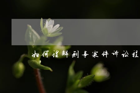 如何理解刑事案件诉讼程序有瑕疵 如何理解刑事案件诉讼程序有瑕疵