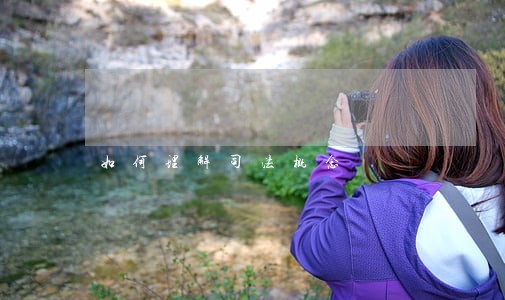 如何理解司法概念 如何理解司法概念