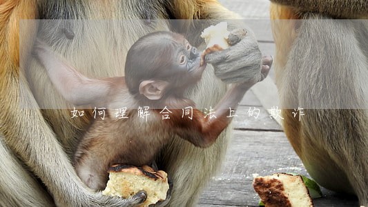 如何理解合同法上的欺诈 如何理解合同法上的欺诈
