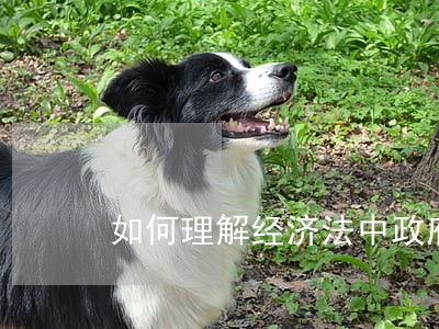 如何理解经济法中政府角色 如何理解经济法中政府角色
