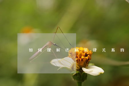 如何理解还剩法律关系的内容