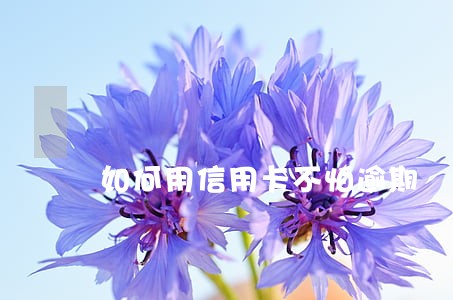 如何用信用卡不怕逾期 如何用信用卡不怕逾期