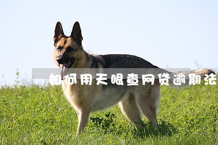 如何用天眼查网贷逾期法院传票 如何用天眼查网贷逾期法院传票