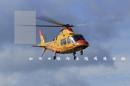 如何由谁向法院提请诉讼