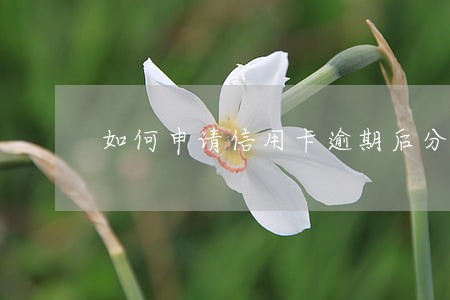 如何申请信用卡逾期后分期还款 如何申请信用卡逾期后分期还款