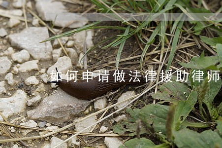 如何申请做法律援助律师 如何申请做法律援助律师