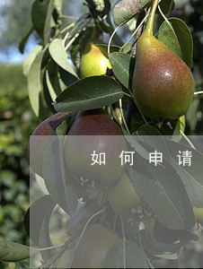 如何申请撤销信用卡逾期记录 如何申请撤销信用卡逾期记录