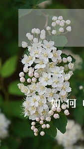 如何申请法律咨询公司 如何申请法律咨询公司