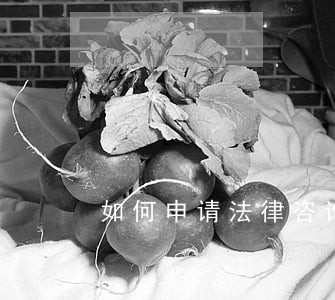 如何申请法律咨询服务 如何申请法律咨询服务