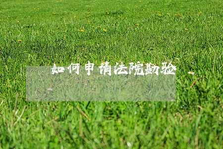 如何申请法院勘验