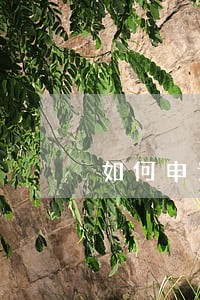 如何申请法院变更执行程序 如何申请法院变更执行程序