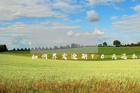 如何界定逾期90天还本金