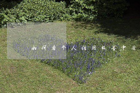 如何看个人信用报告中逾期信息 如何看个人信用报告中逾期信息