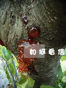 如何看信用卡逾期信息