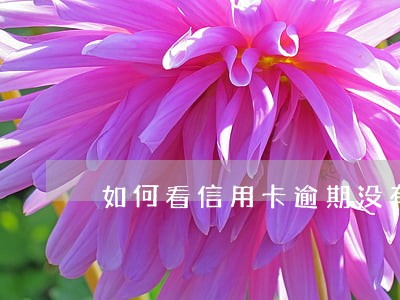 如何看信用卡逾期没有 如何看信用卡逾期没有