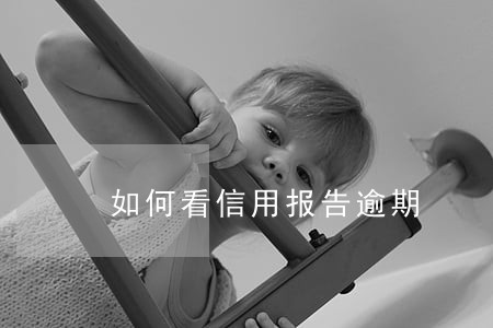 如何看信用报告逾期 如何看信用报告逾期
