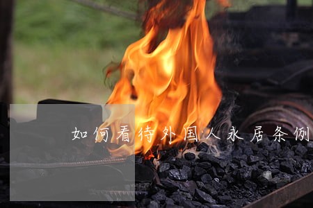 如何看待外国人永居条例的内容 如何看待外国人永居条例的内容