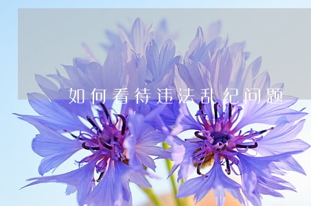 如何看待违法乱纪问题 如何看待违法乱纪问题