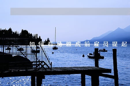 如何看待雅虎前雇员提起诉讼 如何看待雅虎前雇员提起诉讼