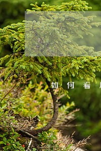 如何看房子 如何看房子