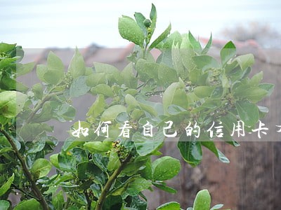 如何看自己的信用卡有没有逾期