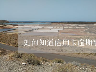 如何知道信用卡逾期被外包了