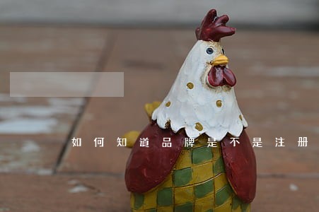 如何知道品牌是不是注册商标