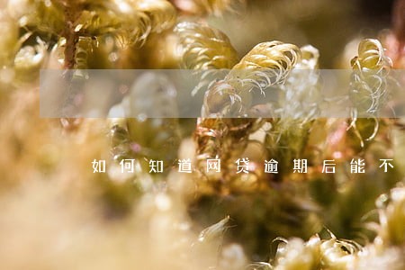 如何知道网贷逾期后能不能坐火车 如何知道网贷逾期后能不能坐火车