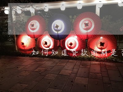如何知道贷款逾期是否被起诉