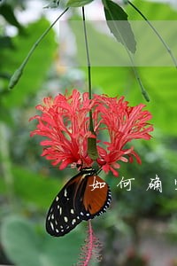 如何确定行为违法 如何确定行为违法