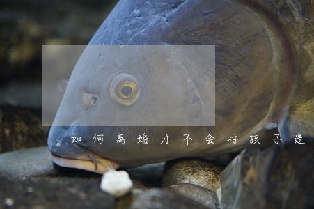 如何离婚才不会对孩子造成伤害 如何离婚才不会对孩子造成伤害