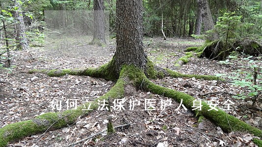 如何立法保护医护人身安全 如何立法保护医护人身安全