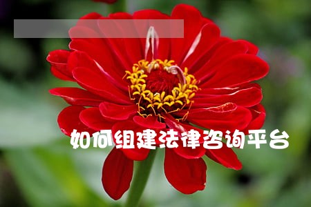 如何组建法律咨询平台 如何组建法律咨询平台