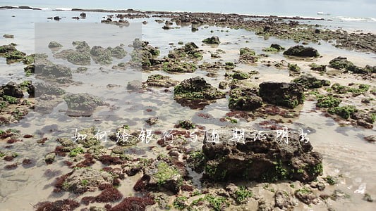 如何给银行写逾期证明书 如何给银行写逾期证明书