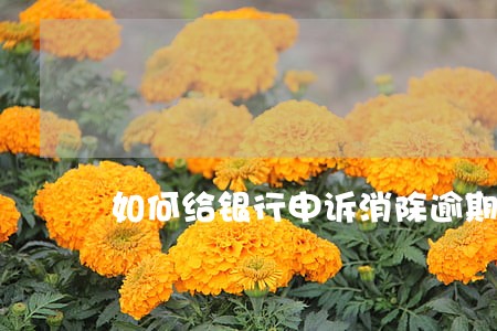 如何给银行申诉消除逾期记录 如何给银行申诉消除逾期记录