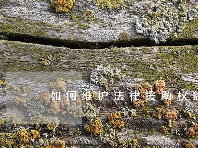如何维护法律援助权益