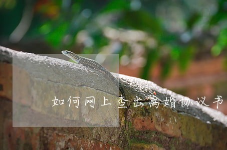 如何网上查出离婚协议书