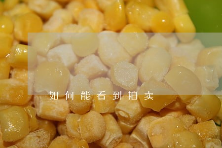 如何能看到拍卖 如何能看到拍卖