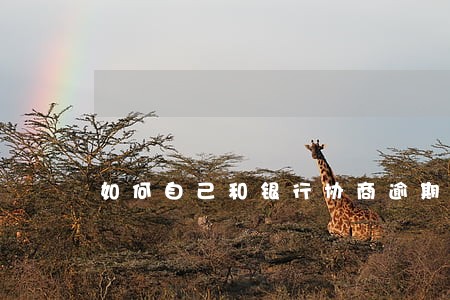 如何自己和银行协商逾期 如何自己和银行协商逾期