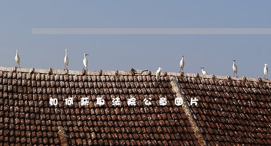 如何获取法院公章图片 如何获取法院公章图片