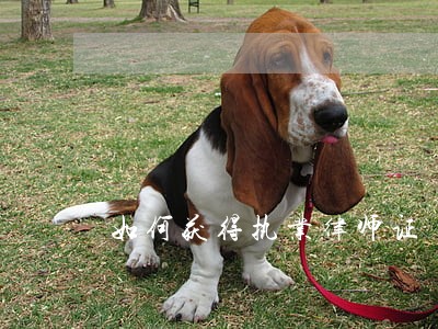 如何获得执业律师证 如何获得执业律师证
